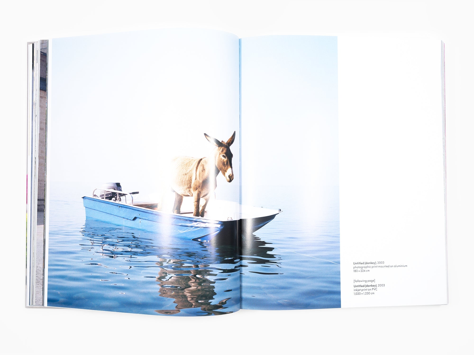 Paola Pivi - Monograph (Phaidon)