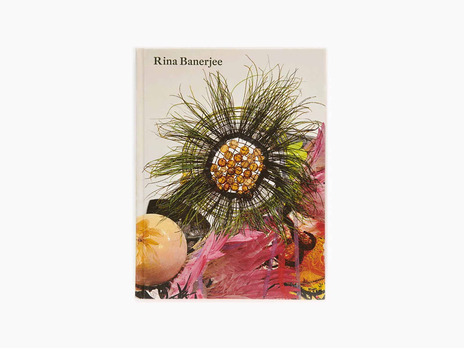 Rina Banerjee - Monograph