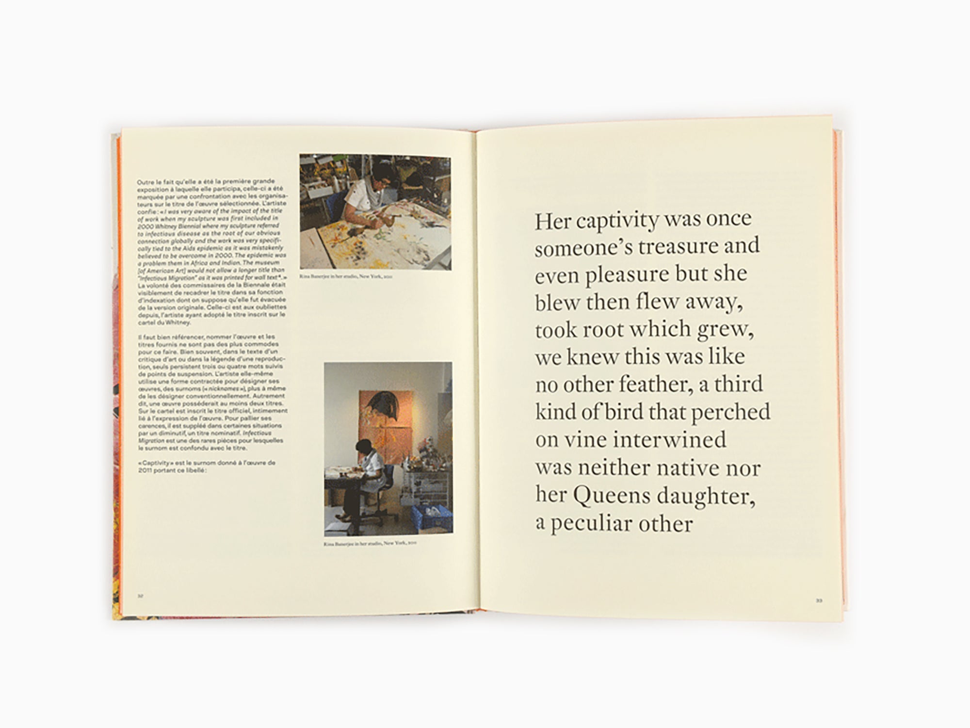 Rina Banerjee - Monograph