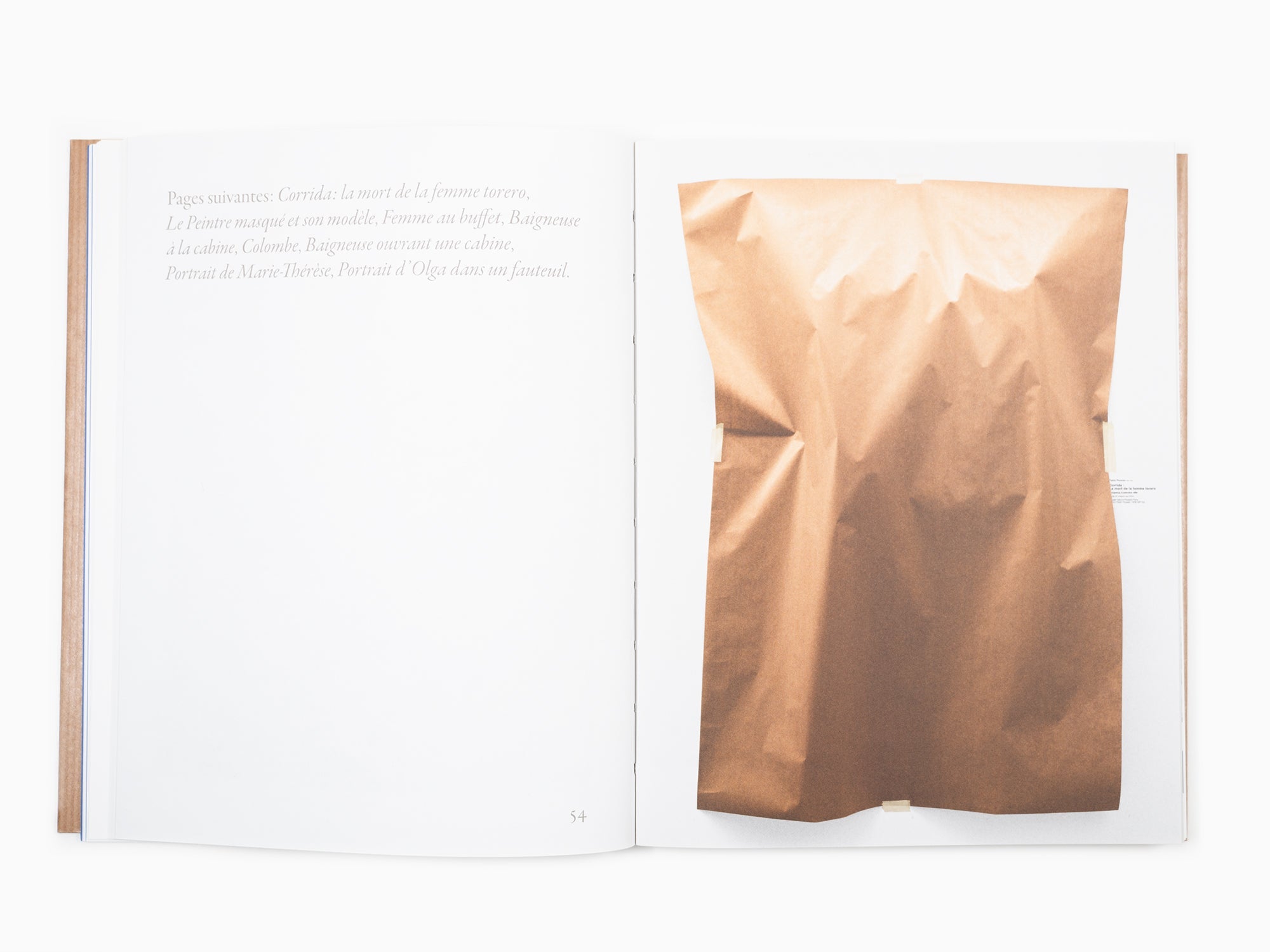 Sophie Calle - Picalso