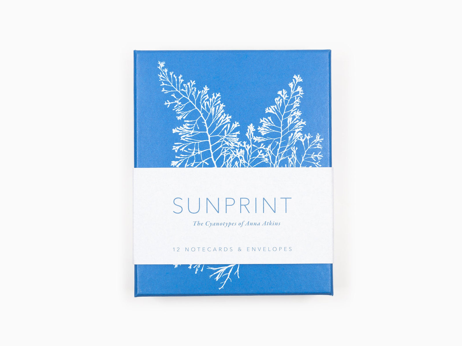 Anna Atkins - Sunprint Notecards, the cyanotypes of Anna Atkins