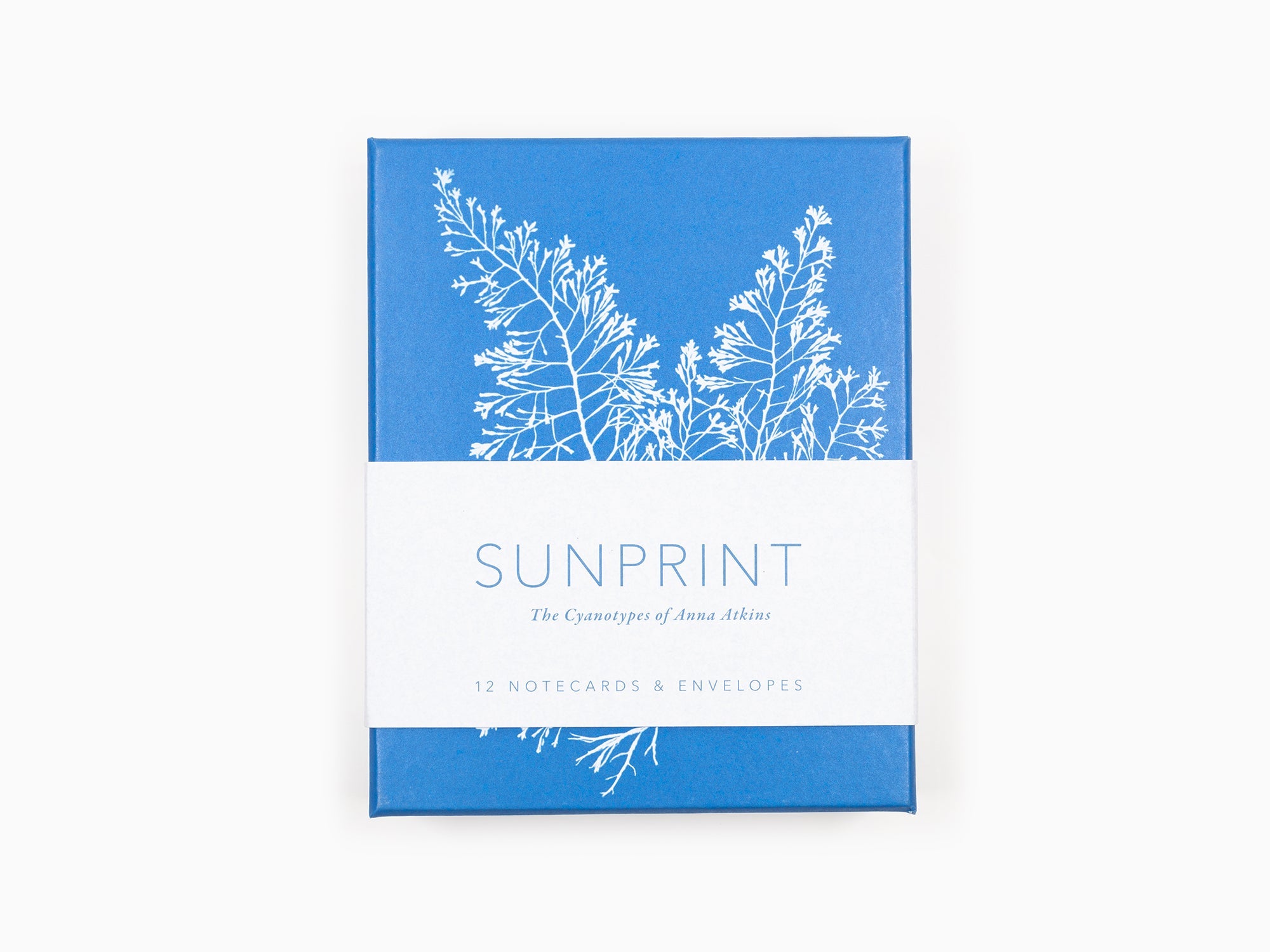 Anna Atkins - Sunprint Notecards, the cyanotypes of Anna Atkins