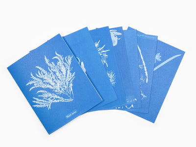 Anna Atkins - Sunprint Notecards, the cyanotypes of Anna Atkins