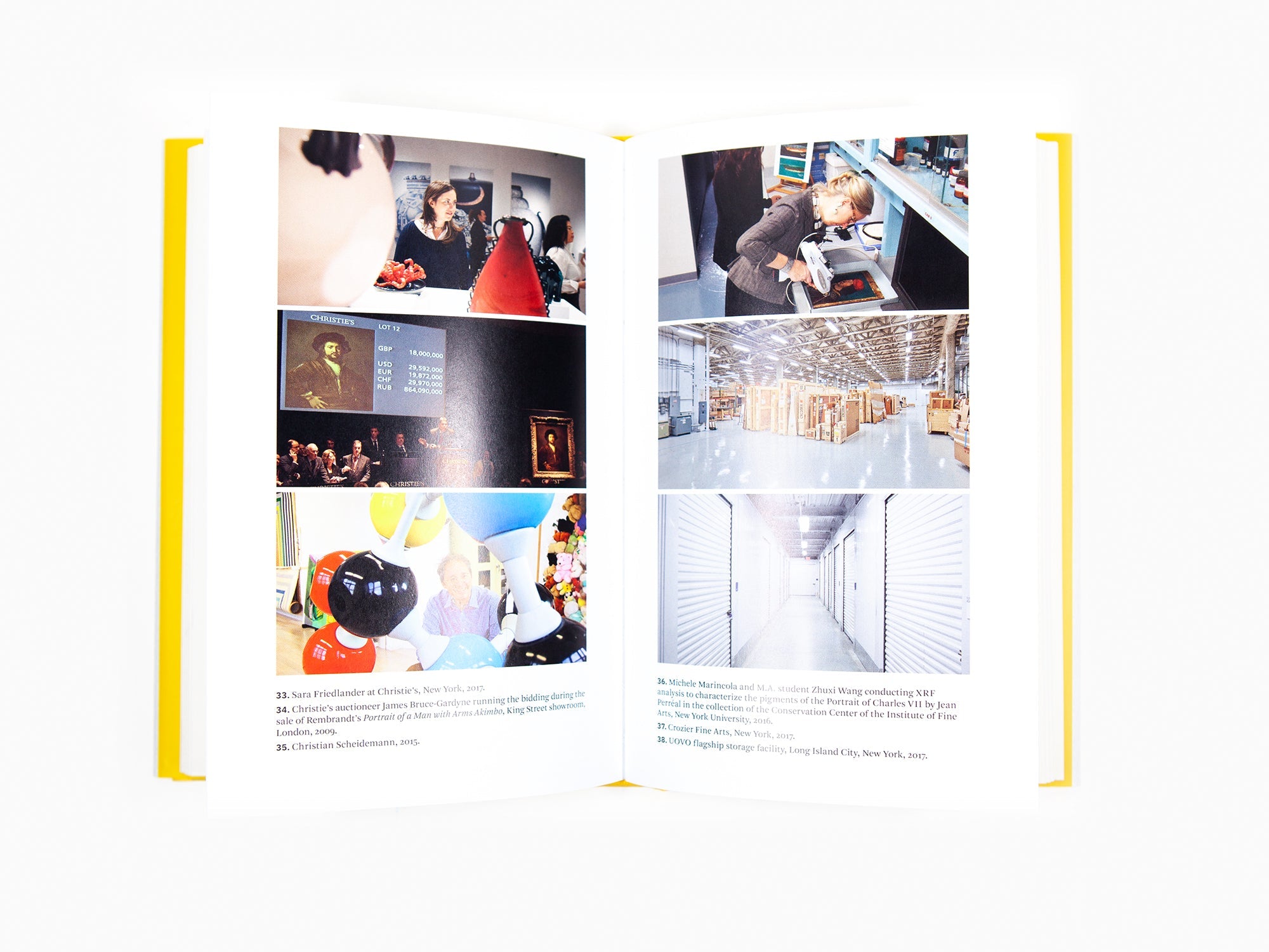 Matthew Israel - A Year in the Art World